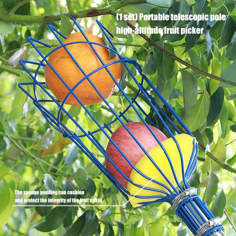Fruit Picking with Basket, Apples Picking Tool Adjustable Rod Long Handle Avocados Grabber Tree Fruit Catcher for Harvesting