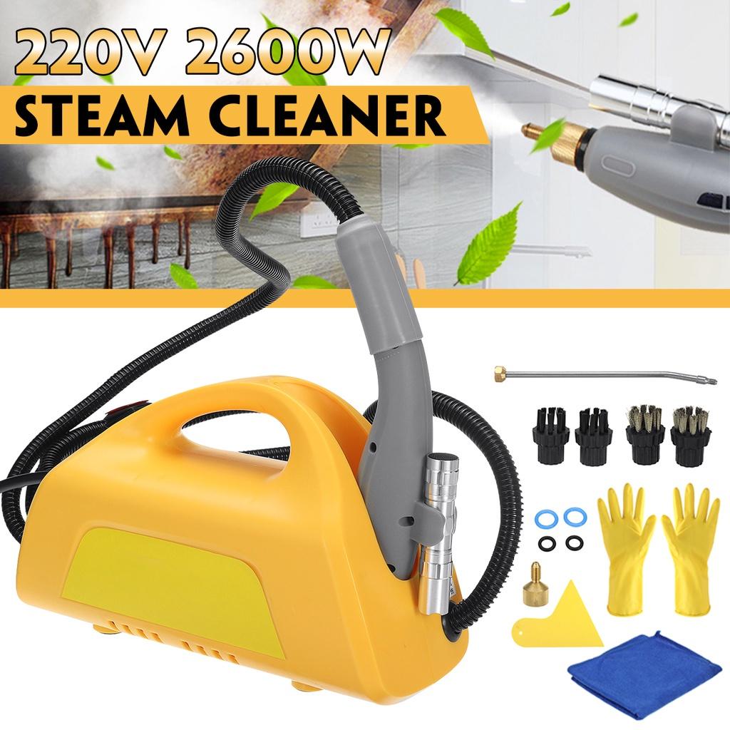 2600W Car Cleaning Machine Pumping Sterilization Disinfector High Temperature Steam Cleaner for Hood Air Conditioner