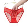 Low-Rise Transparent Mesh Triangle Panties - Hot & Sexy Japanese Cute Women's Underwear, New Seamless European & American Style (1533)