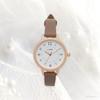 Fieldwork Analog Watch with Leather Simple Women's Strap, Color-Coordinated Loop, Brown, GY082-5