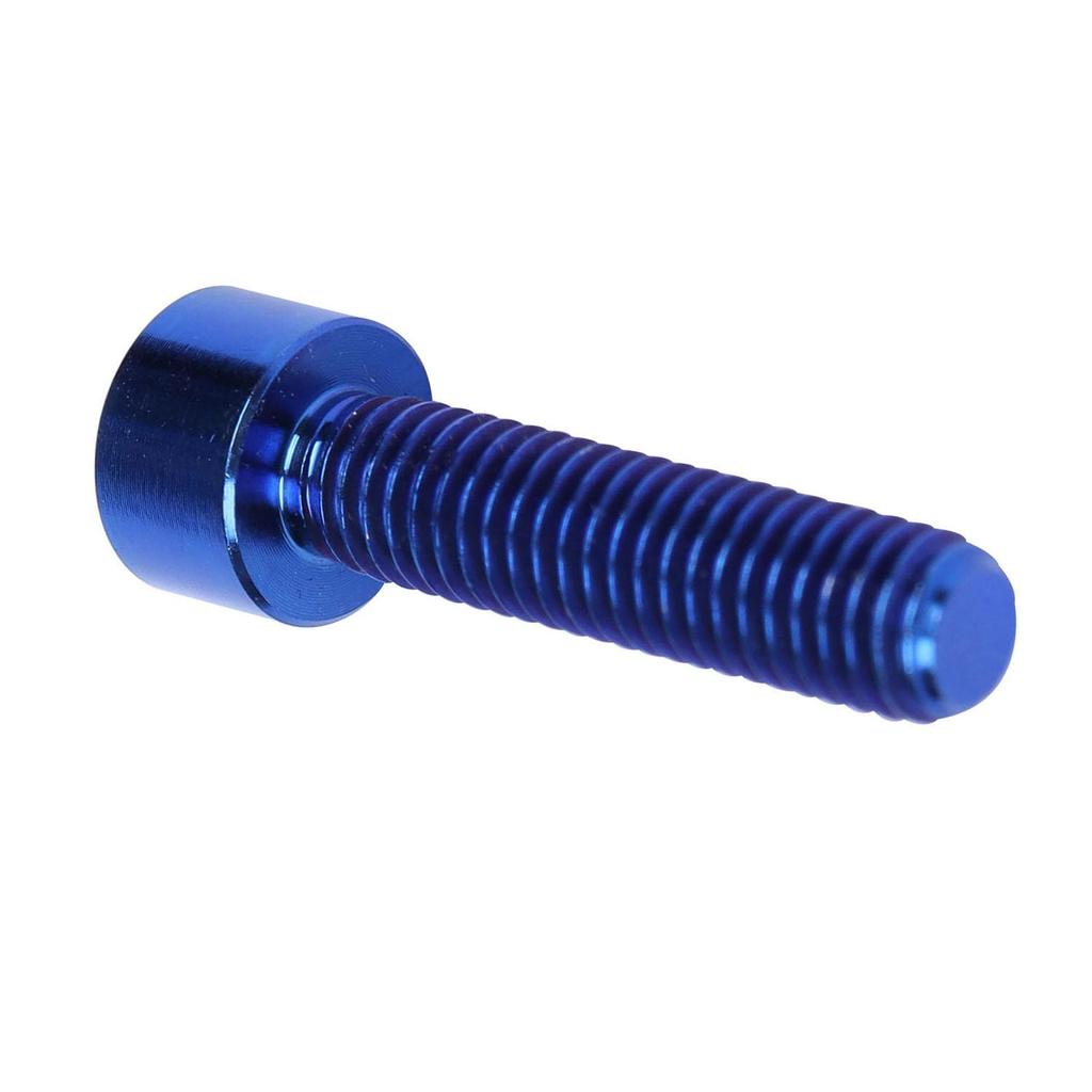 4PCS Titanium Bolt Ti Screw M6x10 16 18 20 25 30 35mm Column Allen Hex Bolt (Blue, M6x25mm)