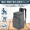 Insulated Backpack Cooler Large for and Picnics Box, Leak-Proof, Waterproof, Capacity, Shopping, Lunches, (Gray, 20L)