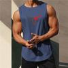 Pánské fitness tílko bez rukávů, rychleschnoucí vesta ze síťoviny