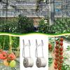 High Temperature Tomato Support Hooks Tomato Trellis Rollerhook Twine