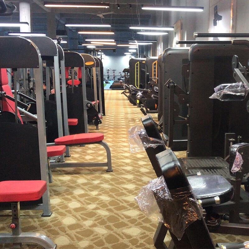 Ganas Multi-function Roman Hyperextension Training Chair