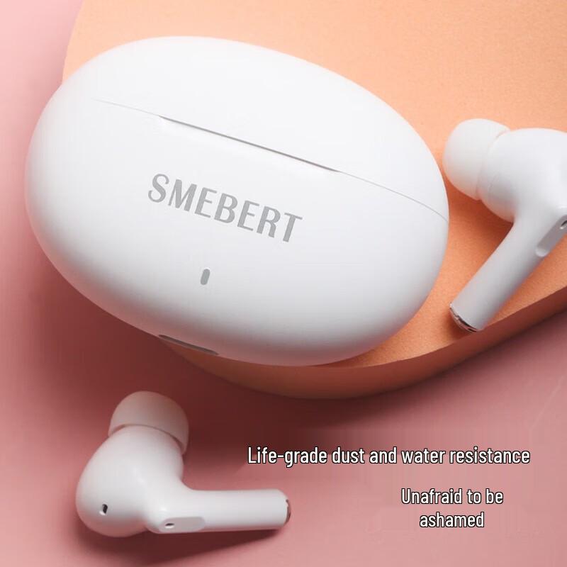 SMEBERT D18 True Wireless Bluetooth Earbuds