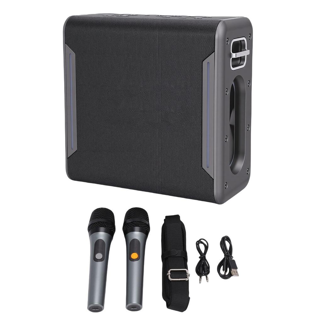 Karaoke-Maschine mit 2 kabellosen Mikrofonen für Erwachsene und Kinder, tragbarer Bluetooth-Lautsprecher mit LED-Lichtern, wasserdicht für
