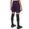 Nike Dri-Fit College Kylian Mbappé Soccer Knit Comfortable Quick-Dry Shorts Unisex shorts Purple Light-Blue Metallic-Gold HQ3687-585