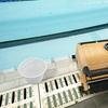 Pool Basket Pool Skimmer Basket Replacement Basket Swimming Pool Filter Basket Pool Filtration Supplies Skimmer Basket