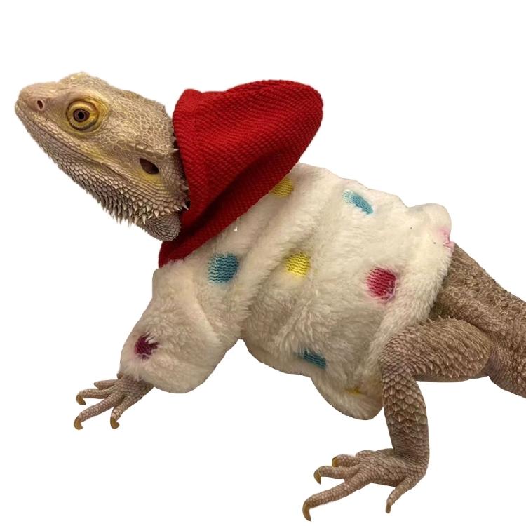 Bearded Dragon Warm Coat Soft Touching Hoodies for Reptiles Geckos Amphibians