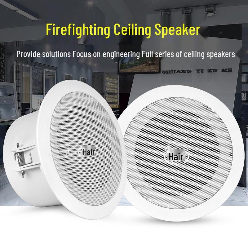Dii Friends 155 Ceiling Speaker for Public Broadcast CN Plug (adapter Included)