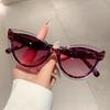Sexy Ladies Cat Eye Vintage Sunglasses Women For Female Luxury Brand Designer Sun Glasses Punk Popular Hollow Double Color Shade