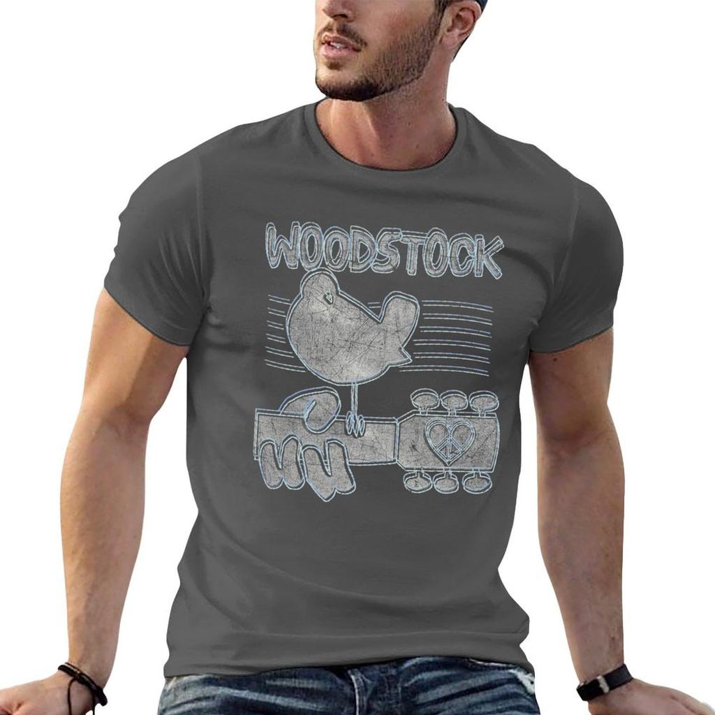 Woodstock Liney Logo Tshirt Dry Fit Running Short Sleeve Top