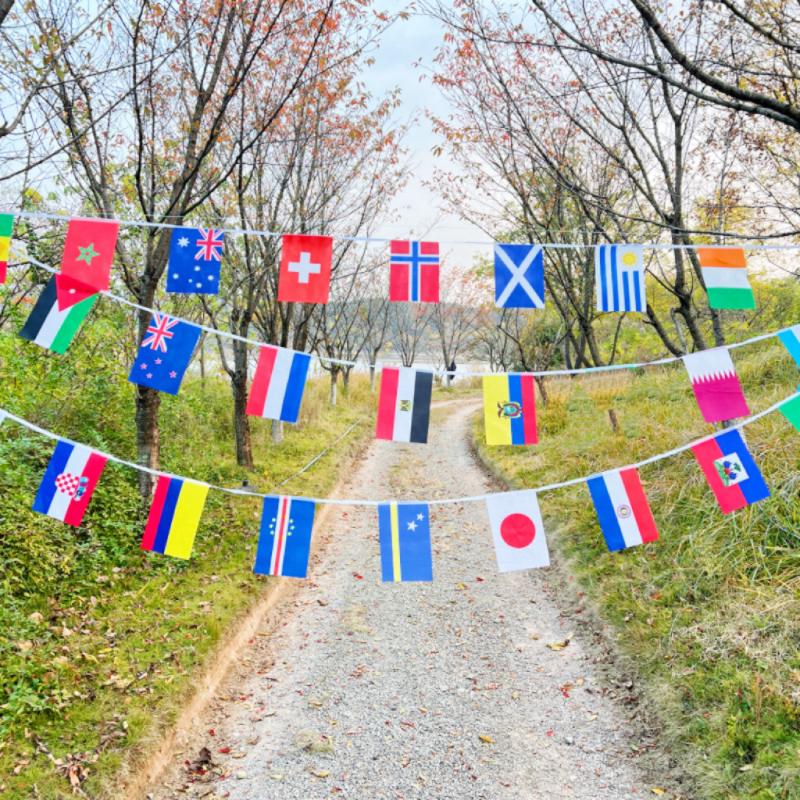2026 48/pcs/setHand Held National Flag14x 21cmCountry Flag NEW Cup Countries Flag Bunting National String Banner Football Event