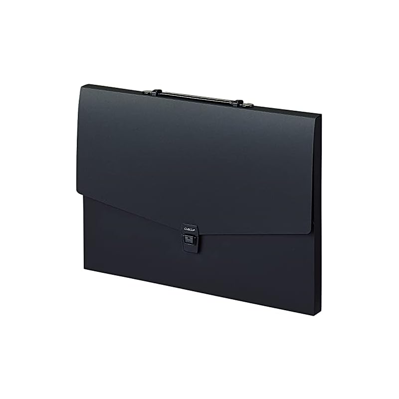 Sekisei Document File Art Case Flat A3 Black ART-702