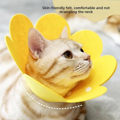 Elisa Kreis Katze Haustierhalsband, Dünner Filz Kopfschutz, Postoperative Erholung Anti-Leck Einstellbares Halsband