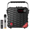 Malata M+9019 Portable Karaoke Bluetooth Speaker (CN Version)