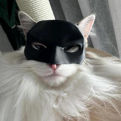 Halloweenowy Kot Nietoperz Cosplay Kapelusz Zabawki dla Kotów Ozdoba Fajne Maska Kota Nietoperza Horror Tajemniczy Kapelusz Drukowanie 3D Maska Akcesoria Imprezowe