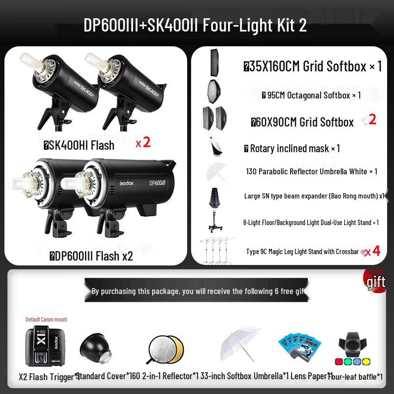 Godox SK400II DP600 Studio Flash Lighting Kit