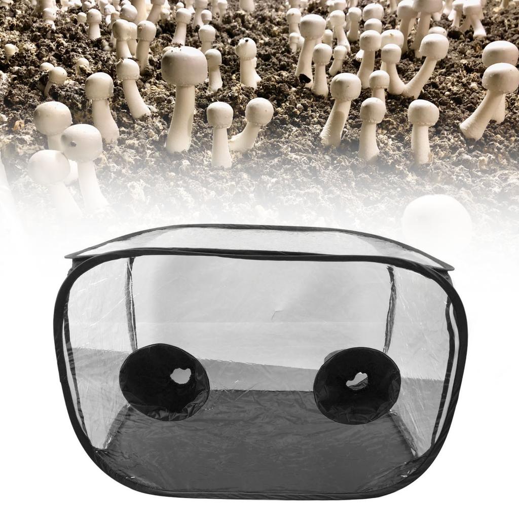 Mushroom Growing Still Box, Portable Foldable PVC Container with 2 Vents and Design, for Scientific Mushroom Cultivation