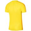 Nike DF Academy Tee, Mens yellow T-shirt