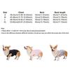 Anti-Licking Pet Physiological Pants Adjustable Dog Recovery Suit  Daily Wear