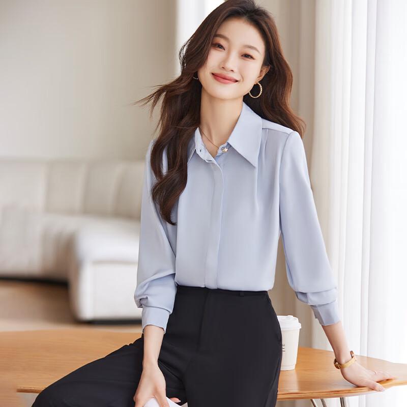 Women's Elegant Long Sleeve Solid Commuter Blouse