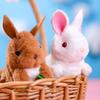Non-Toxic Plush Animals Toy Kids Children Stuffed Animals Bunny 1Pcs Cute Wind Up Jumping Bunny Clockwork Walking Toys Children Fun Gifts
