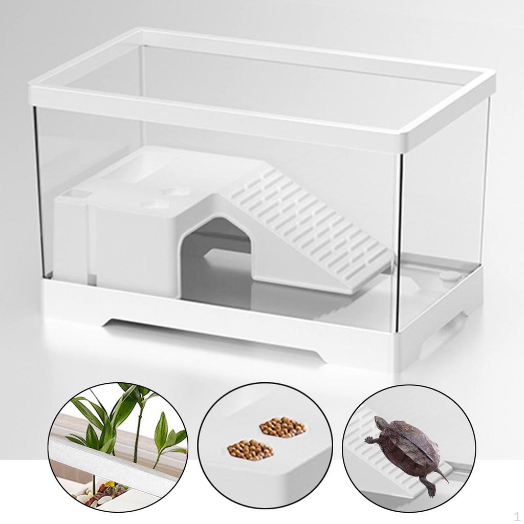 Aquarium Turtle Tank with Multi-Functional Area Hermit Box Warming Ramp Reptile Habitat
