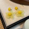 Colorful Raffia Tassel Flower Earrings – Fresh, Sweet Fashion Studs