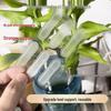 Dragon Bone Invisible Ear Support: Shaping Patches for a Smaller Face Appearance