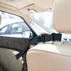 Hundebarriere für Rücksitz im Auto Einfach zu installieren Haustier-Barriere Netzgitter mit Haken Sicherheits-Trennwand mit Aufbewahrungstasche für Auto SUV LKW