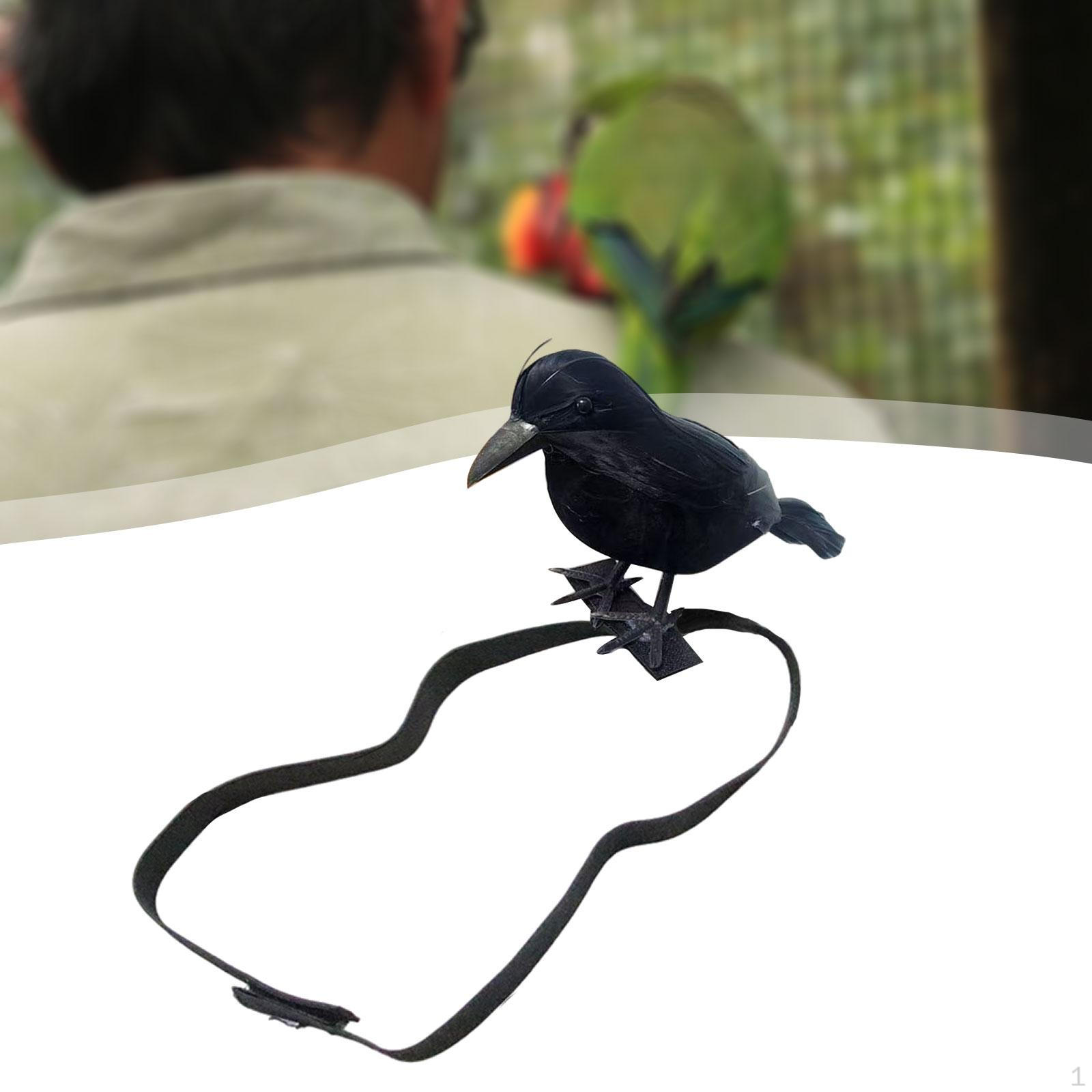 

Хэллоуин Ворон Ручная работа Тематическая вечеринка Реалистичное украшение Пернатый Style D