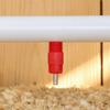 40pcs Plastic Poultry Waterer Red Drinking Nipple Easy Installation Farming Accessories  Large Scale