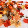 Fake Pumpkin & Maple Leaf Set for Halloween Decor and Photography