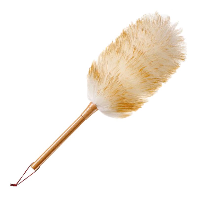 Jiang Ting Ke Long Handle Washable Wool Duster
