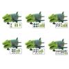 Transforming Dinosaur Airplane and Mini Car Set for Boys and Girls New Arrival