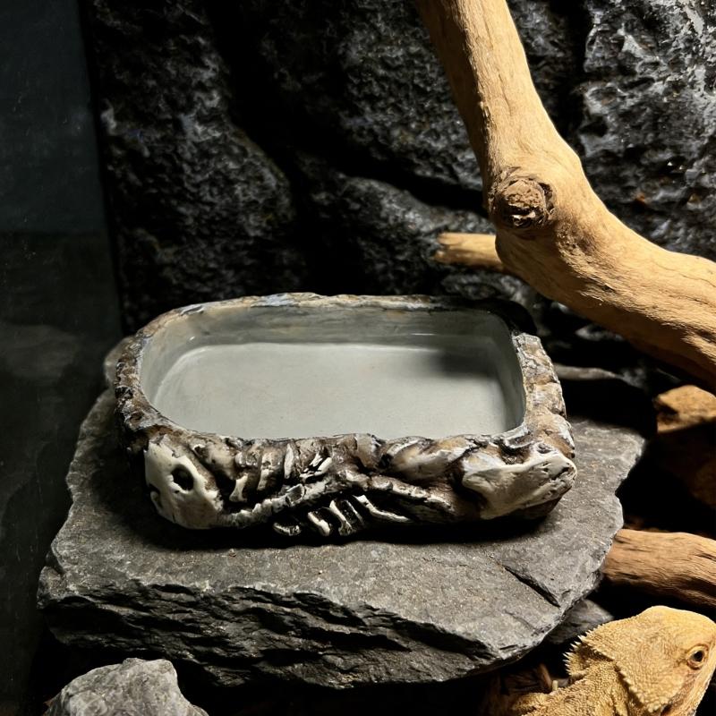 Small Animal Water Food Feeder Resin Feeding Bowl For Indoor And Outdoor Use For Various Amphibians Pet Feeding Tool