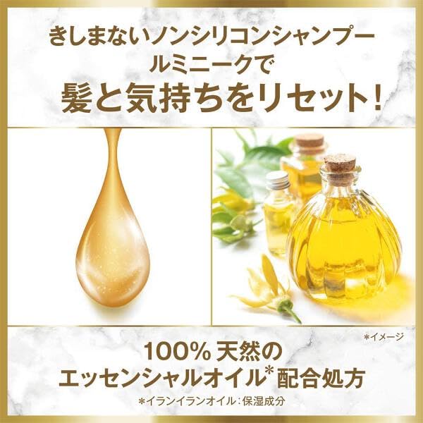 LUX Lumineque Botanical Pure Shampoo and Treatment Set 370g + 370g