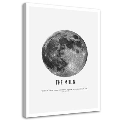 Canvas Print, Moon