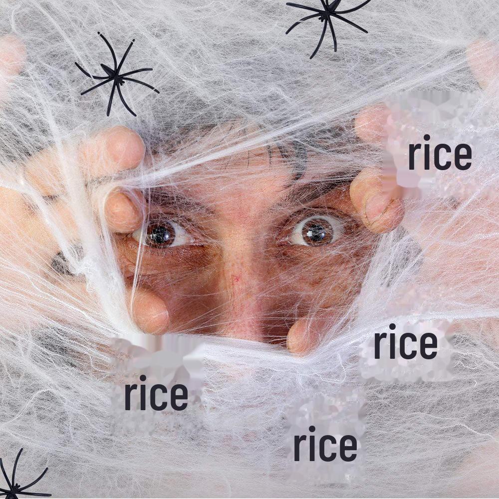 Halloween Spinnennetz Dekoration Requisiten: Baumwollgewebe 20 g, 40 g, 60 g, 100 g – Großes Lager verfügbar