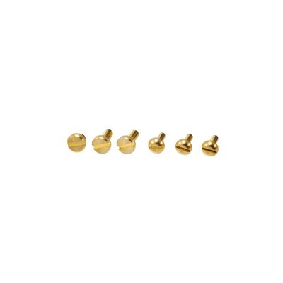 Abu Garcia Ambassador Slotted Screw Set Gold