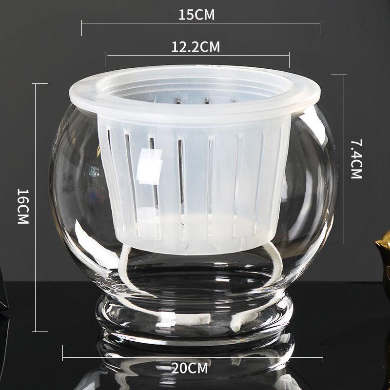 Hydroponic Glass Cylinder Vase for Pothos & Peace Lily - Transparent Water Culture Container with Free Shipping.