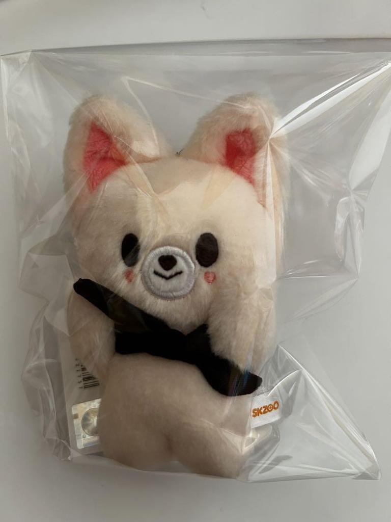 [USED] straykids Ien Foxiny Magnetic Key Ring