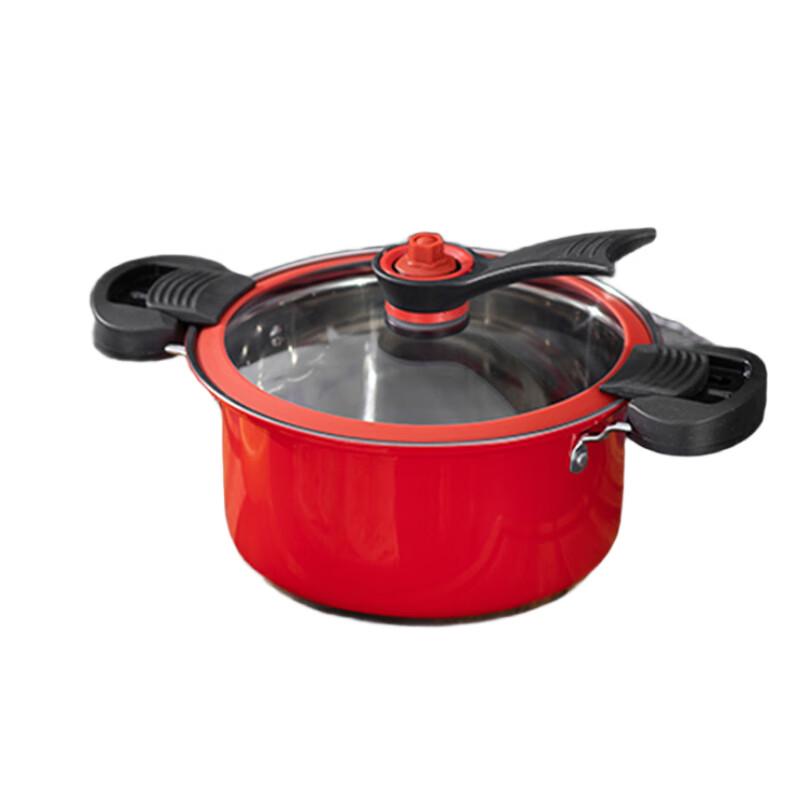 Wanting WT-WY-1 Stainless Steel Micro Pressure Cooker