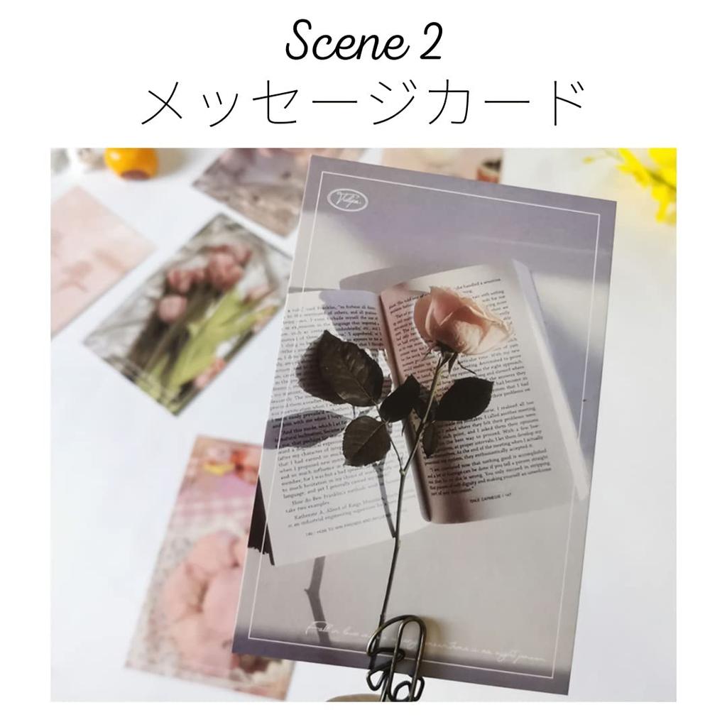 Donalee Stylish and Cute Postcards, Set of 30, Postcard Size, Scandinavian, Korean, and International Designs, Mini Posters (Natural)