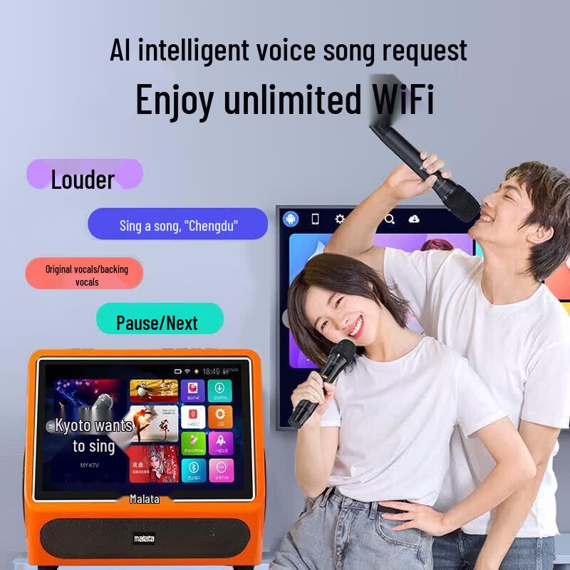 Malata C11 Home KTV System with Touchscreen and Amplifier (CN version)