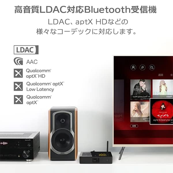 Bluetooth Receiver LDAC Compatible HD Low Latency USB DAC High Resolution Audio RCA Optical Digital Earphone Jack Coaxial Digital XLR Output Terminal