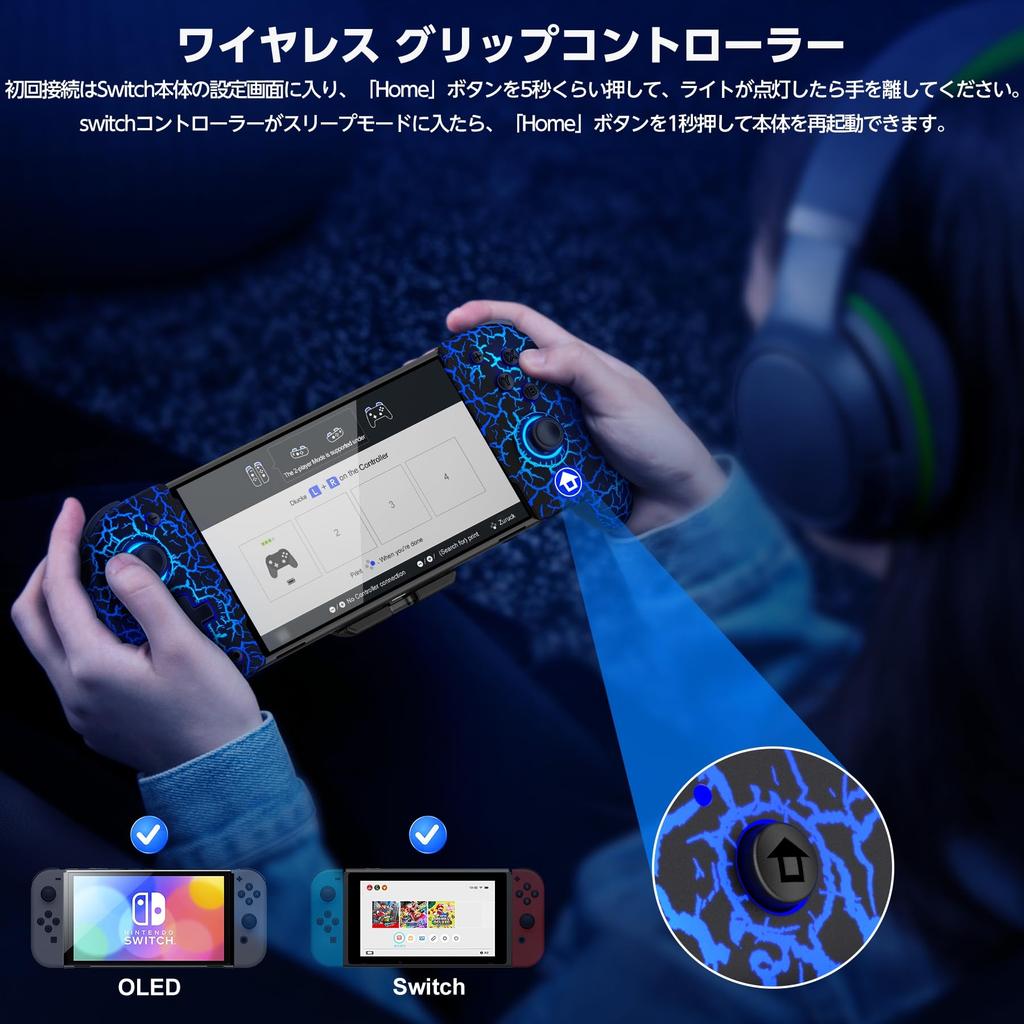 Switch Controller with RGB Macro Handheld Mode Controller Program Editing Gyro Turbo 1000mAh High Capacity Compatible with Spiderweb Design 8-Color