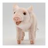 BH6455 HANSA Pig 23